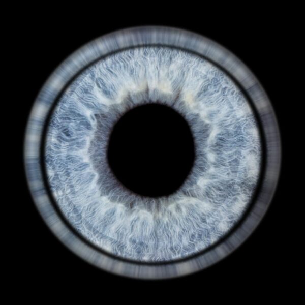 Photo d'iris Martigues