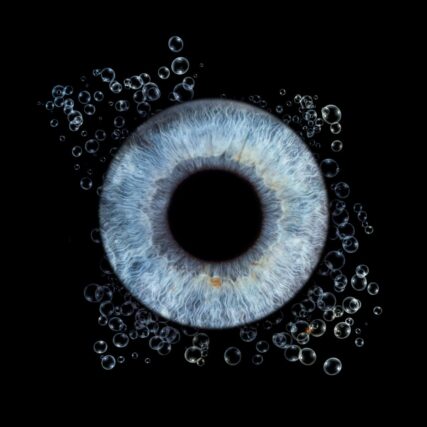 Photo d'iris châteauneuf-lès-Martigues