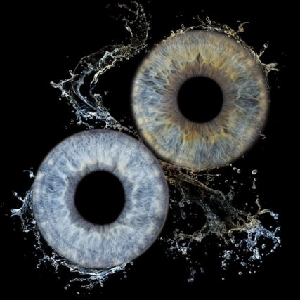 Photo d'iris duo Aix en Provence