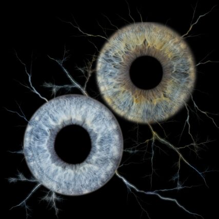 Photo d'iris duo Bouches du Rhône