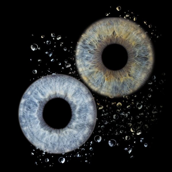 Photo d'iris duo Carry le Rouet