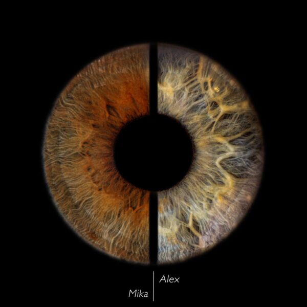 Photo d'iris duo Fos sur Mer