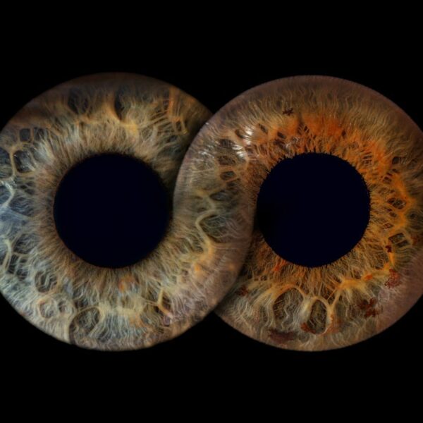 Photo d'iris duo Les Pennes Mirabeau