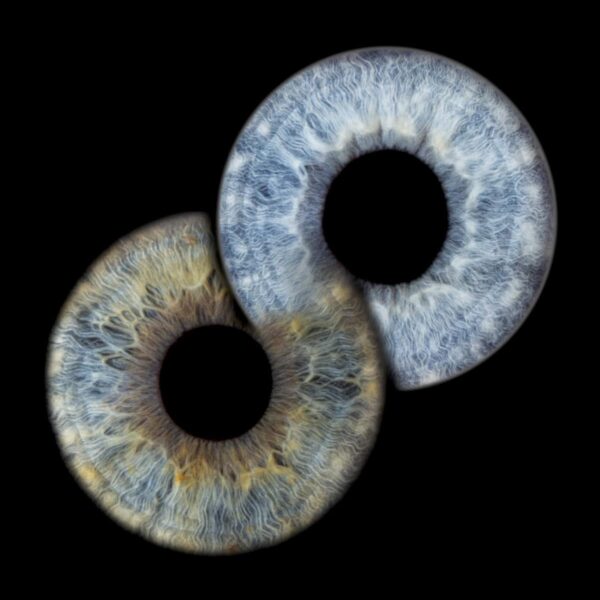 Photo d'iris duo Marseille