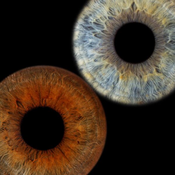 Photo d'iris duo Marseille