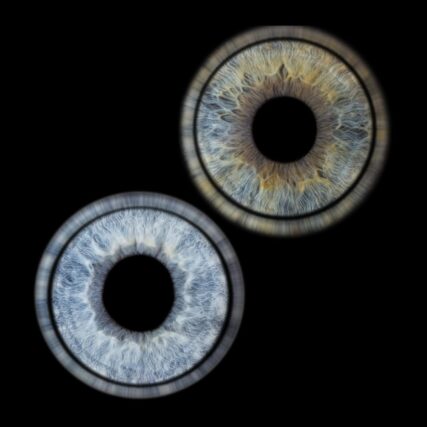 Photo d'iris duo Martigues