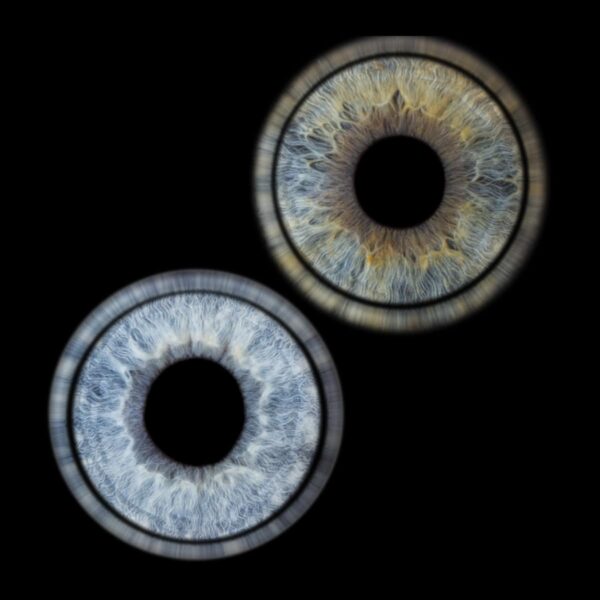 Photo d'iris duo Martigues