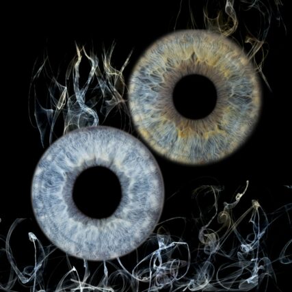 Photo d'iris duo Vitrolles