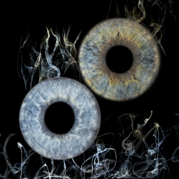 Photo d'iris duo Vitrolles