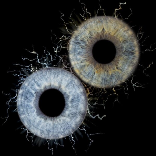 Photo d'iris duo châteauneuf-lès-Martigues