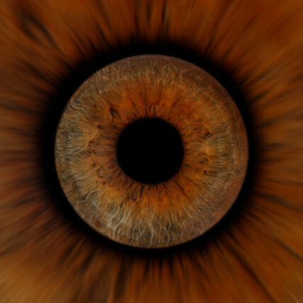 Photo d'iris famille