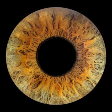 Photo d’iris professionnelle Bouc-Bel-Air