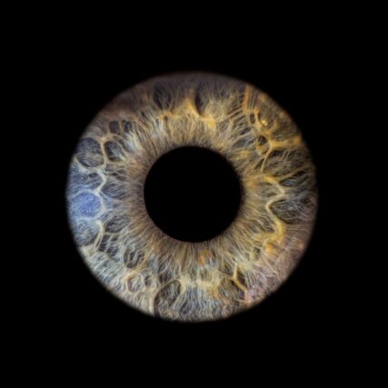 Photo d'iris tableau acrylique