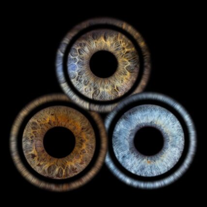 Photo d'iris trio Martigues