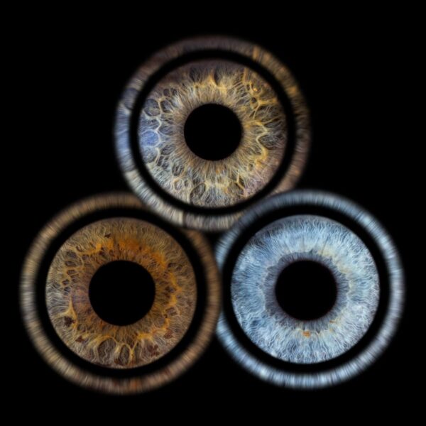 Photo d'iris trio Martigues