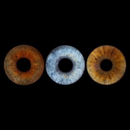 Photo d'iris trio châteauneuf-lès-Martigues