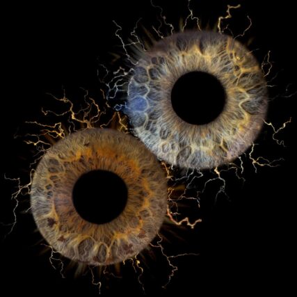 Photo iris Aix en Provence duo