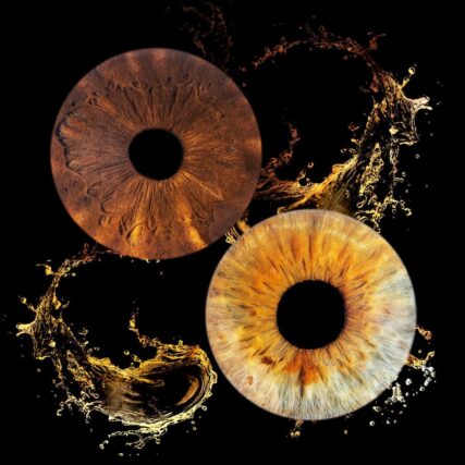 Photo iris Marseille