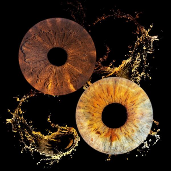 Photo iris Marseille