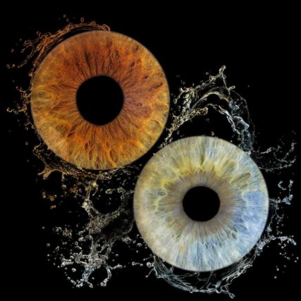 Photo iris Martigues