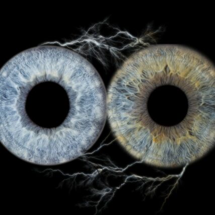 Photo iris Martigues Duo Effet electrique