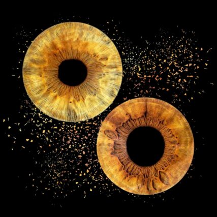 Photo-iris-Chateauneuf les Martigues