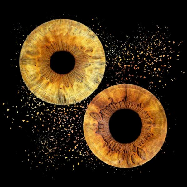 Photo-iris-Chateauneuf les Martigues