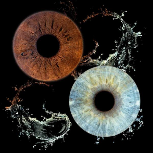 Photo iris Salon-de-Provence