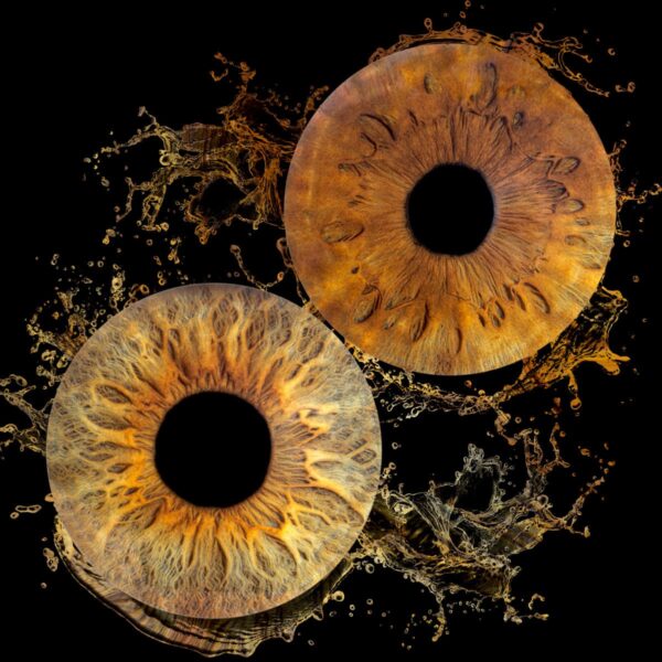 Photo iris à Aix en Provence