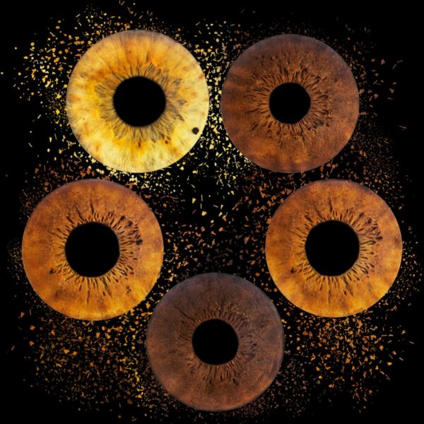 Photo oeil Aix en Provence