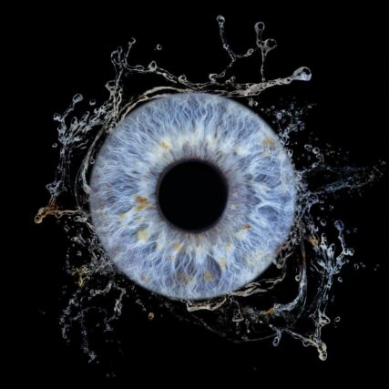 Photographe d'iris proche de Martigues