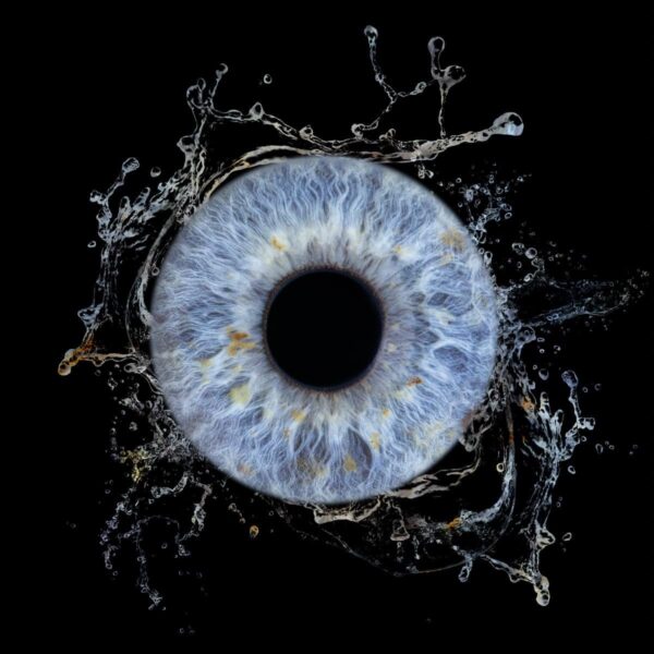 Photographe d'iris proche de Martigues