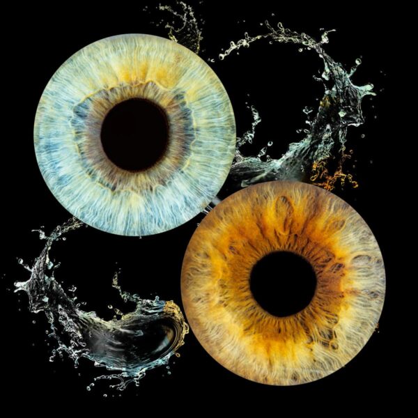 Photographe iris Aix-en-Provence