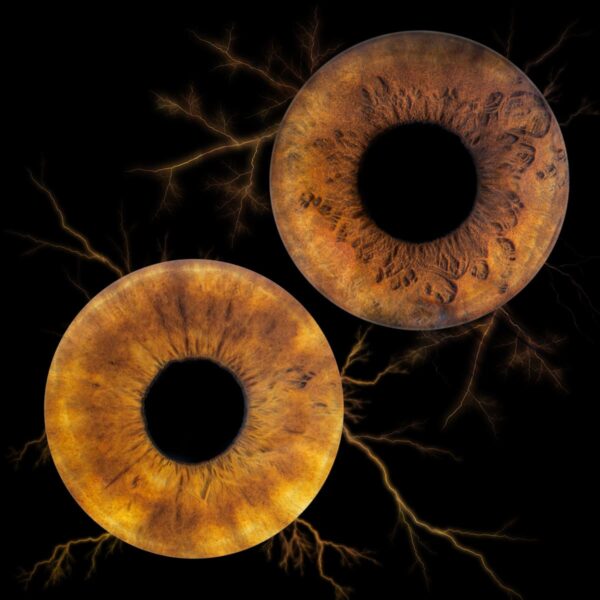 Photographe iris Sausset-les-Pins