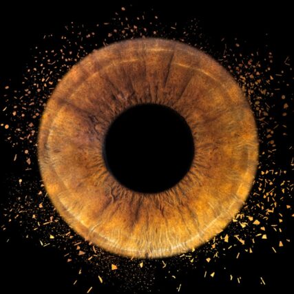 Photographe iris Vitrolles