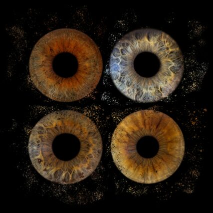 Photographie d'iris Marigues famille