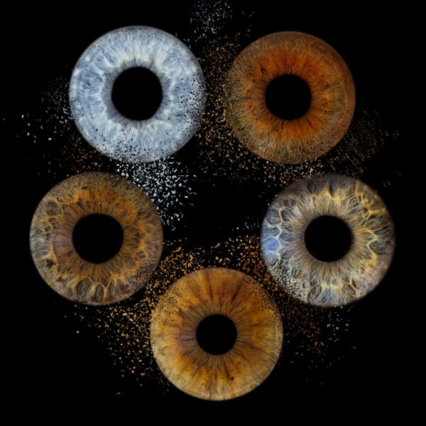 Photographie d'iris famille