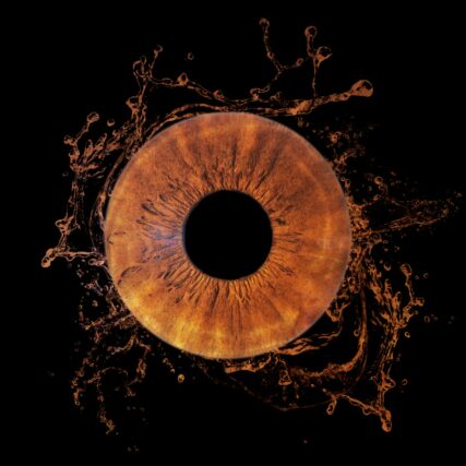 Séance photo iris Fos-sur-Mer