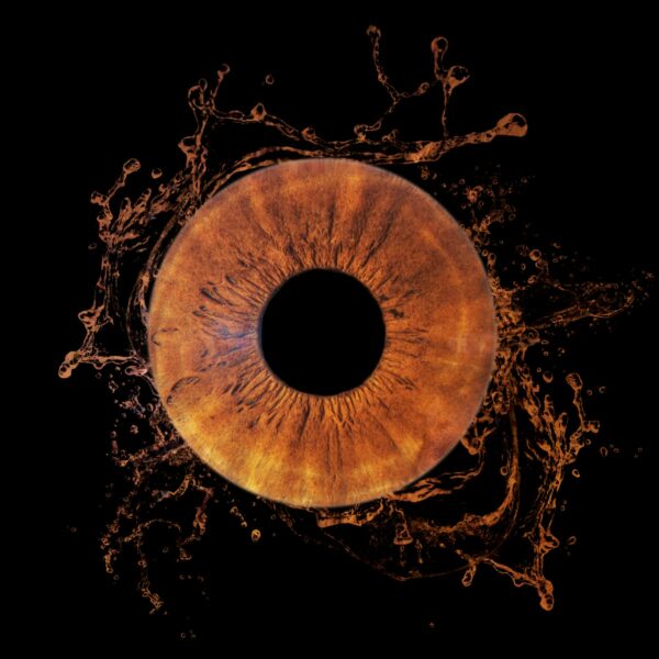 Séance photo iris Fos-sur-Mer