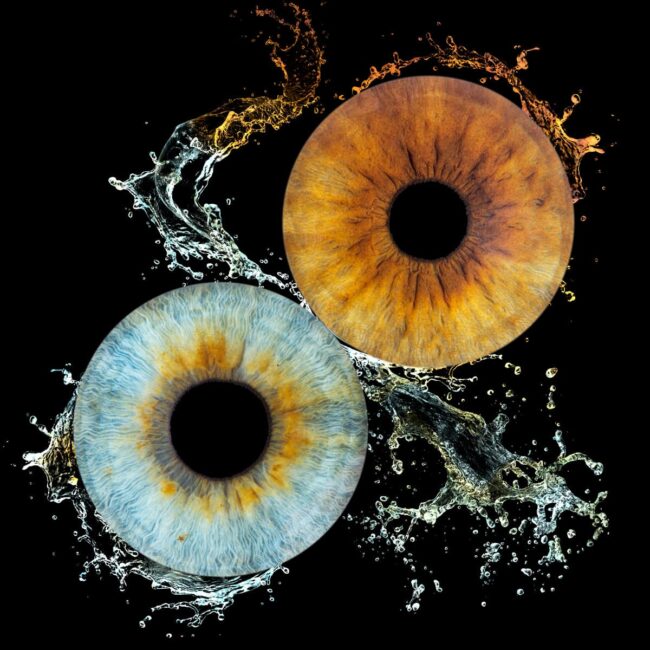 Photo d'iris châteauneuf-lès-Martigues