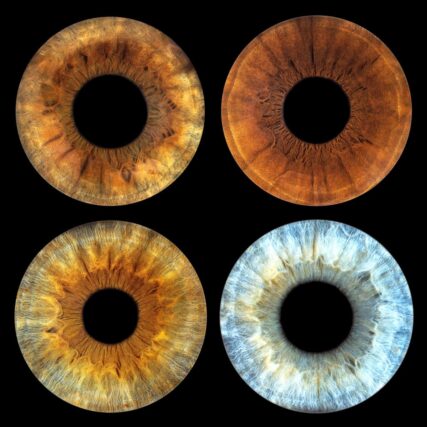 Séance photo iris Port-de-Bouc