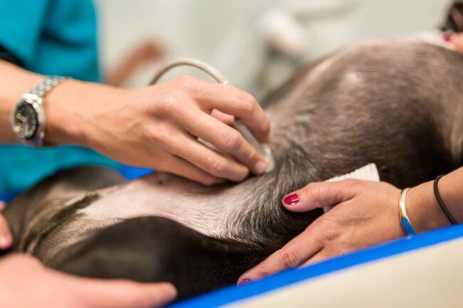 Photo reportage d'entreprise Marignane