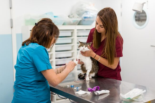 Photo reportage d'entreprise Salon de Provence