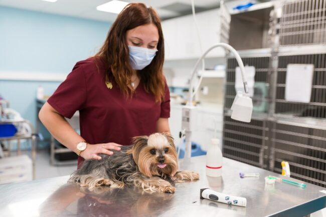 Photographe d'entreprise Martigues