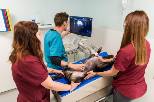 Photographe d'entreprise Miramas