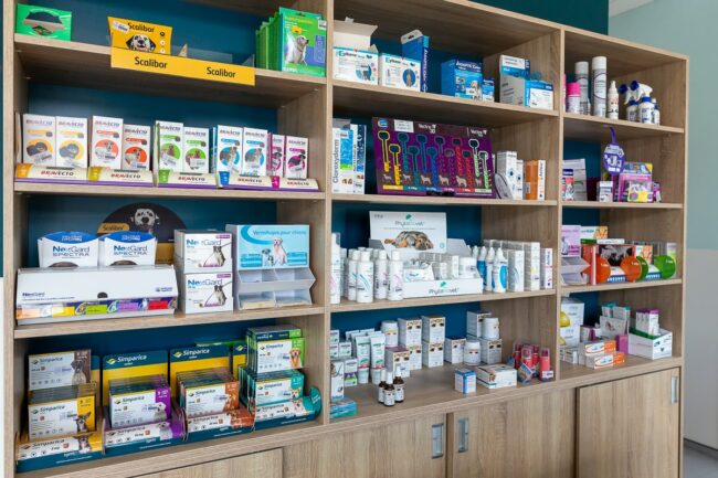 Photographe d'entreprise Salon de Provence