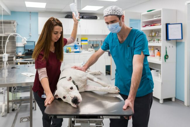 Photographe reportage entreprise Marignane