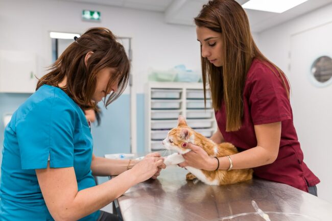 Photographe reportage photo d'entreprise Aubagne