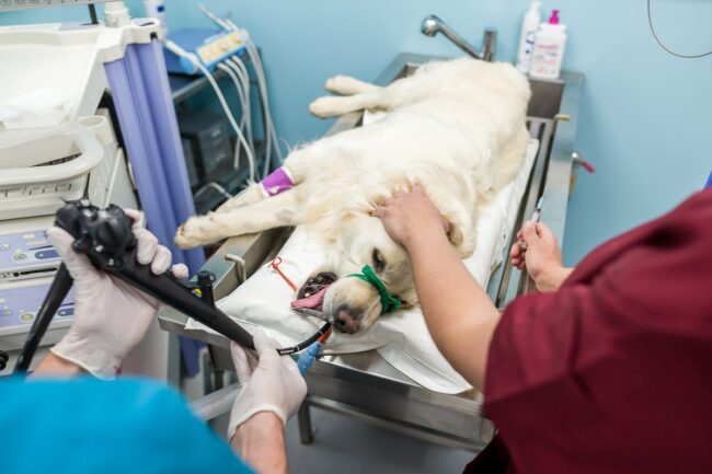 Photographe reportage photo d'entreprise Istres