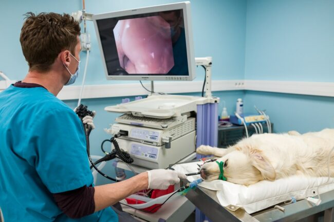 Photographe reportage photo d'entreprise Martigues